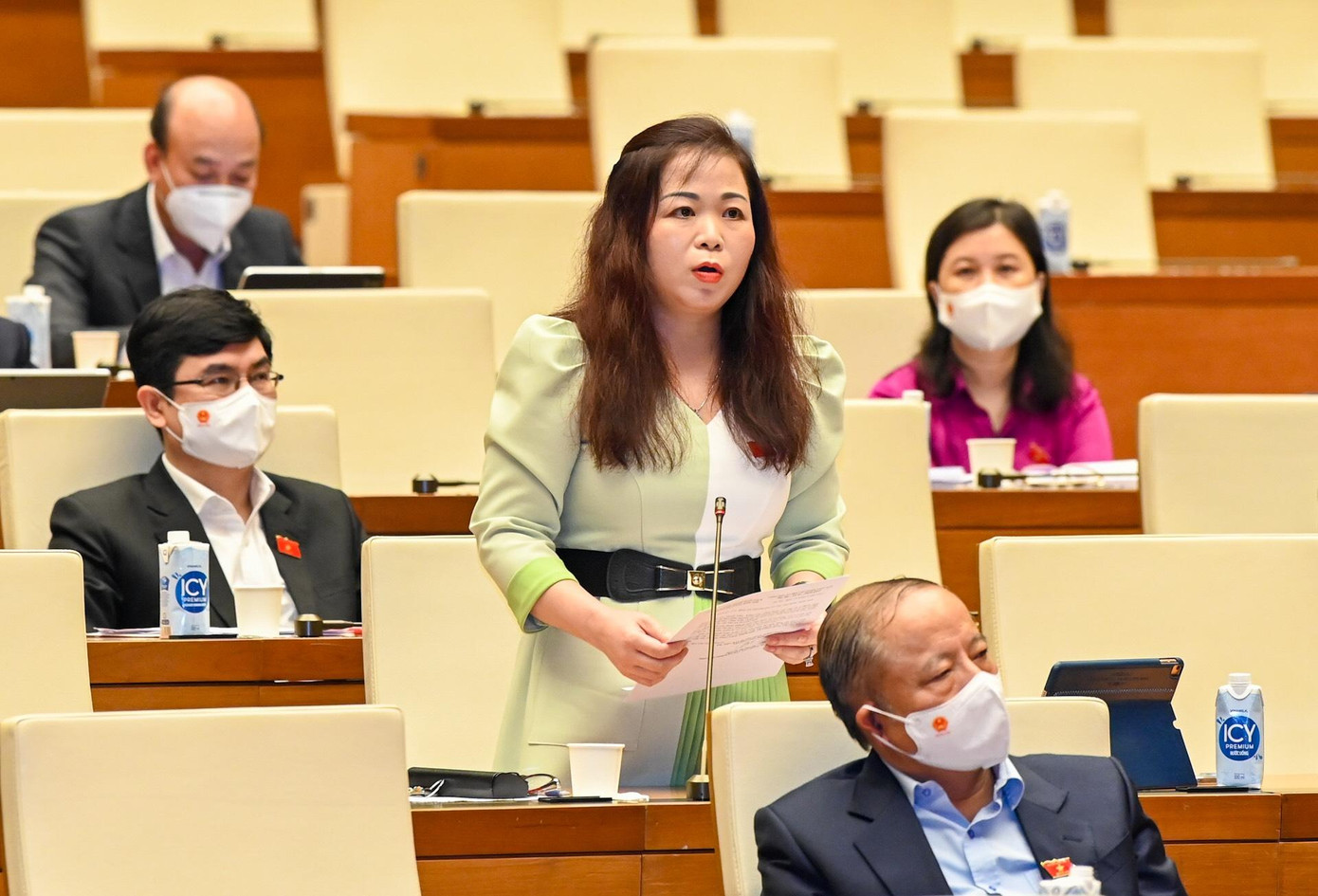 ĐBQH Vũ Thị Lưu Mai. Ảnh: Minh Châu