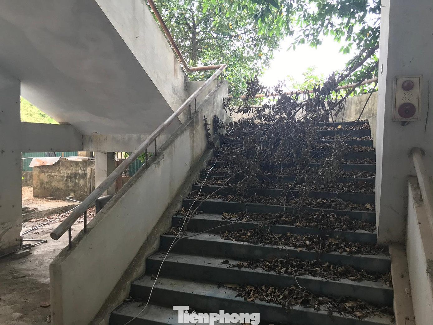 Lối lên khán đài vương vãi cành cây khô, lá mục qua thời gian dài. Ảnh: Trường Phong