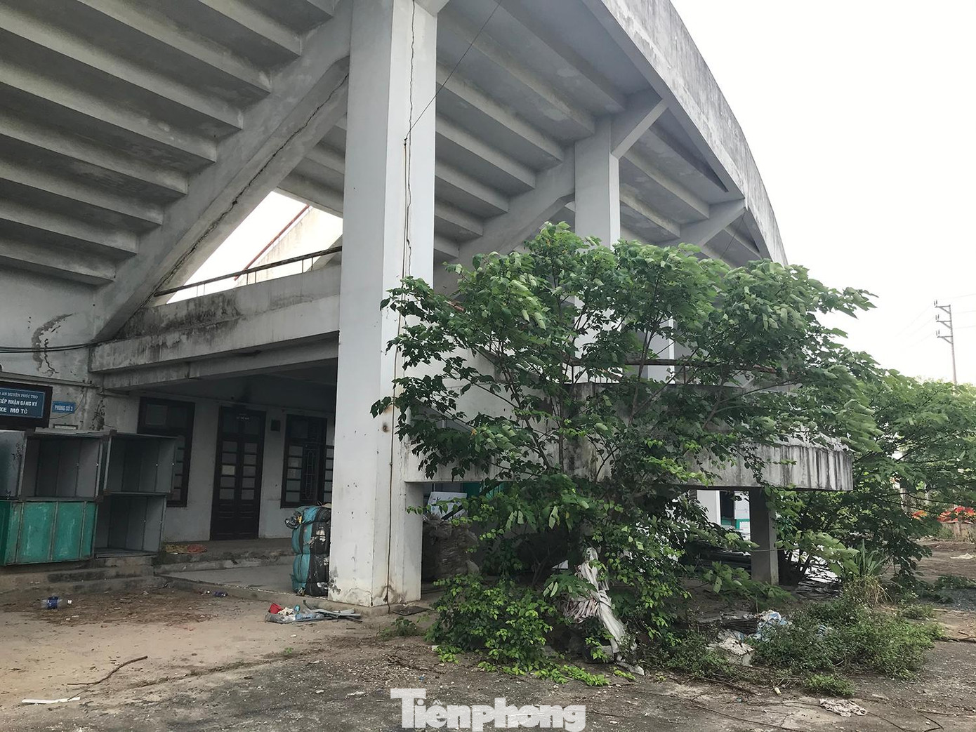 Khu vực dưới hầm khán đài phía cổng phụ đi vào nhếch nhác, cây dại mọc um tùm. Ảnh: Trường Phong