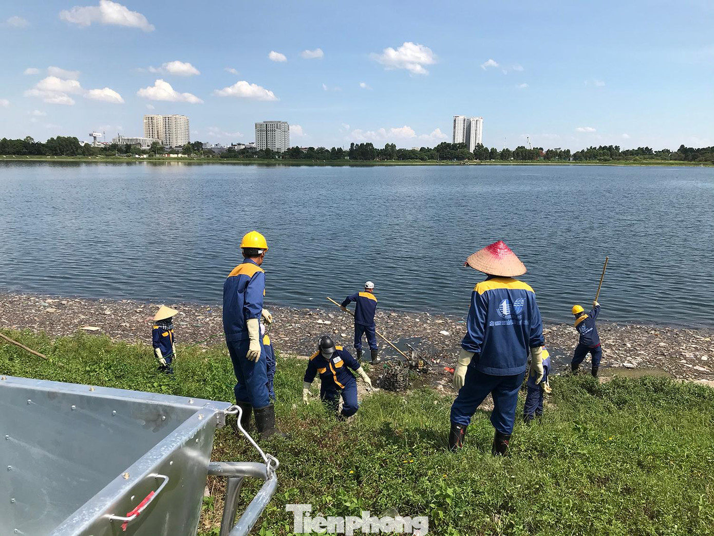 Theo một số công nhân, công việc này đã tiến hành vài ngày nay, tuy nhiên, chưa vớt được hết lượng rác thải và xác cá chết ở hồ. Ảnh: Trường Phong