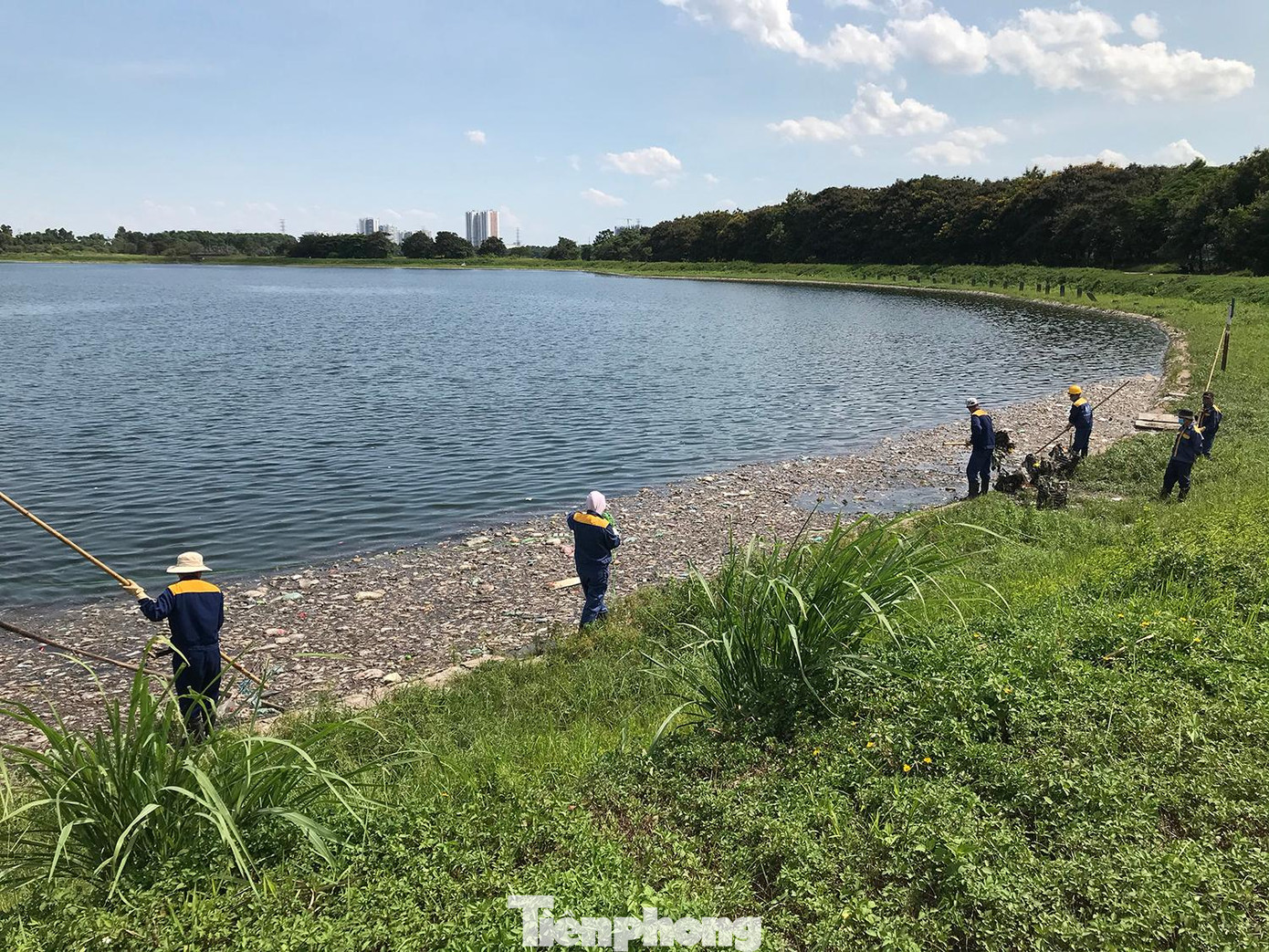 Ngày 27/6, gần chục công nhân đơn vị quản lý hồ tiến hành vớt rác và xác cá chết khỏi mặt hồ. Ảnh: Trường Phong