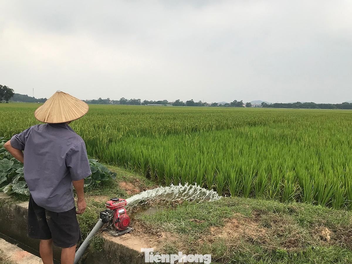 Khu vực cánh đồng, nơi được quy hoạch làm Trường đua ngựa Sóc Sơn. Ảnh: Trường Phong Khu vực cánh đồng, nơi được quy hoạch làm Trường đua ngựa Sóc Sơn. Ảnh: Trường Phong