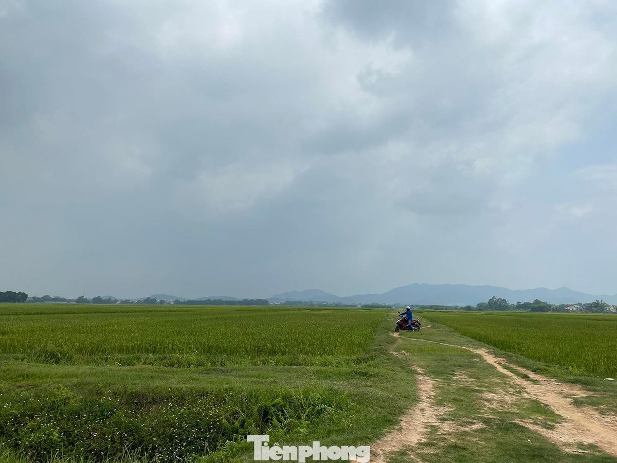 Một phần khu vực cánh đồng dự kiến làm trường đua ngựa ở xã Tân Minh (Sóc Sơn, Hà Nội). Ảnh: TC