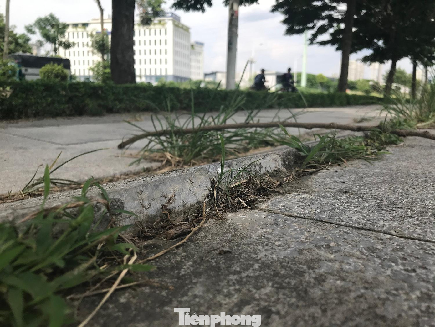 Cận cảnh hiện tượng sụt, lún nền gây vỡ, hỏng vỉa hè lát đá trên tuyến phố Trịnh Văn Bô. Ảnh: Trường Phong