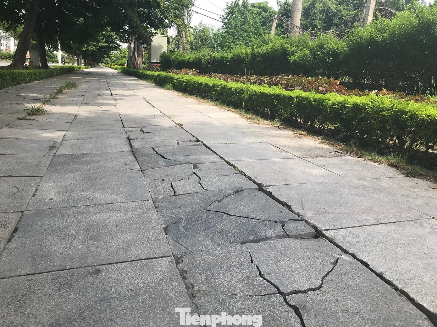 Vỉa hè lát đá tuyến phố Trịnh Văn Bô (Nam Từ Liêm, Hà Nội) xuống cấp nghiêm trọng. Ảnh: Trường Phong