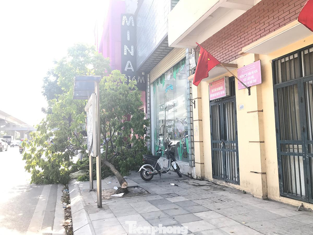 Một cây sấu bị chặt hạ trên vỉa hè phố Nguyễn Trãi (quận Nam Từ Liêm, Hà Nội), ngay địa điểm hoạt động của nhà văn hoá tổ dân phố và điểm khai báo tạm trú - tạm vắng công an phường Trung Văn. Ảnh: Trường Phong.