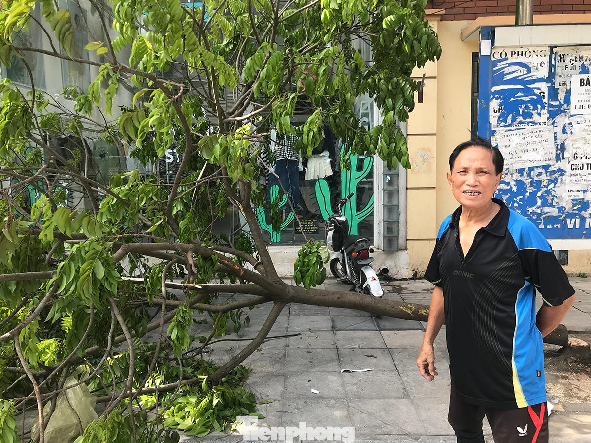 Trao đổi với phóng viên, một số người dân đề nghị cơ quan quản lý làm rõ việc chặt cây xanh có đúng quy định hay không, nếu phát hiện sai phạm phải xử lý nghiêm để răn đe. Ảnh: Trường Phong.