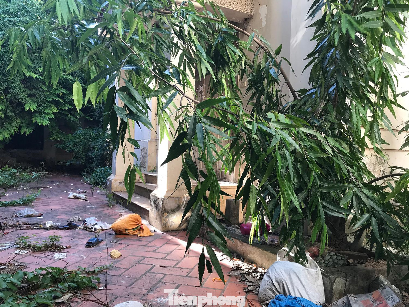 Theo quan sát của phóng viên, bên trong khuôn viên ngôi nhà có nhiều rác thải, rêu mốc. Ảnh: Trường Phong