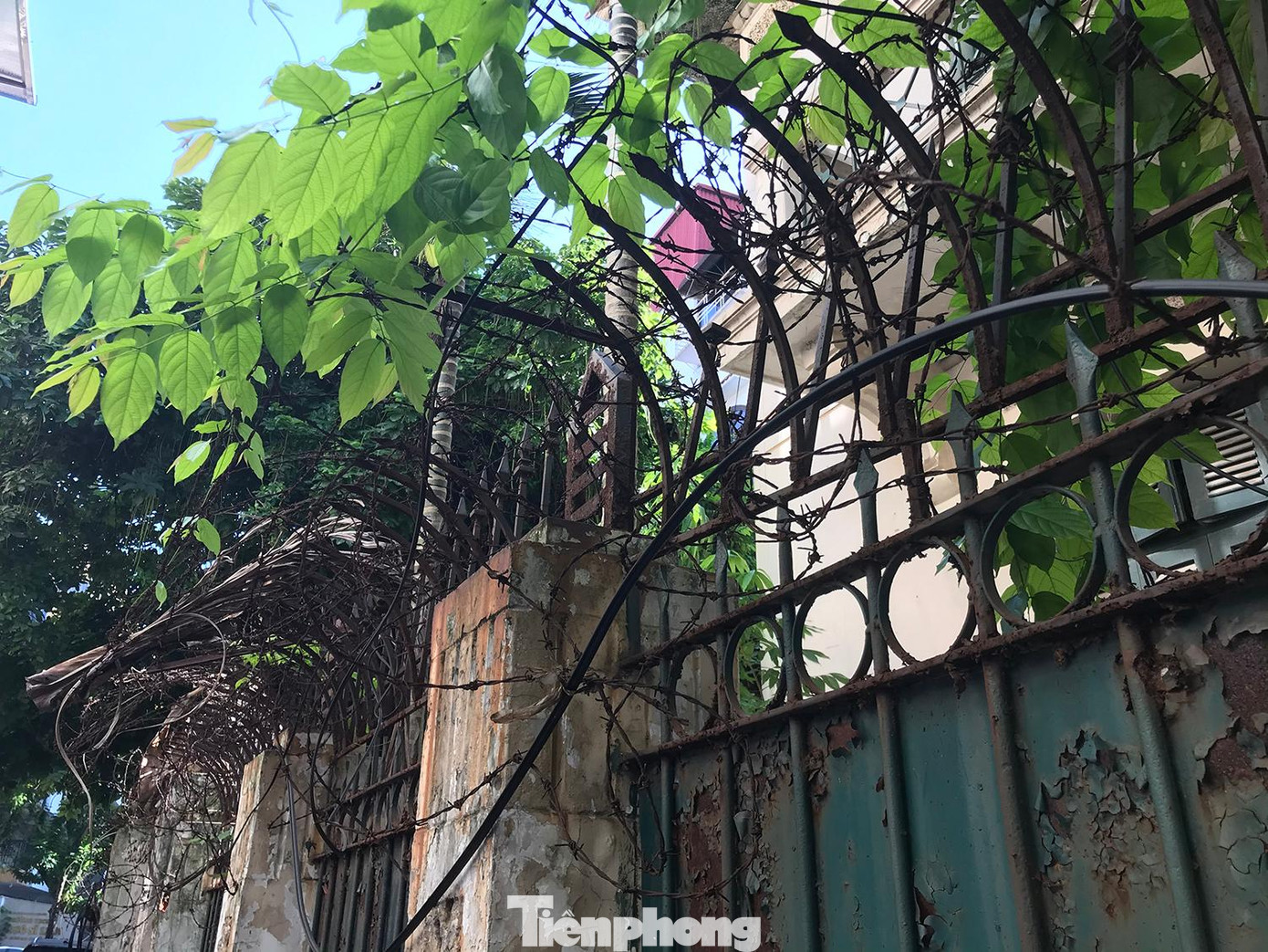 Theo ghi nhận của phóng viên, xung quanh khu nhà được quây kín bằng hàng rào, thép gai, nhưng nhiều năm qua đã han gỉ, hư hỏng. Ảnh: Trường Phong