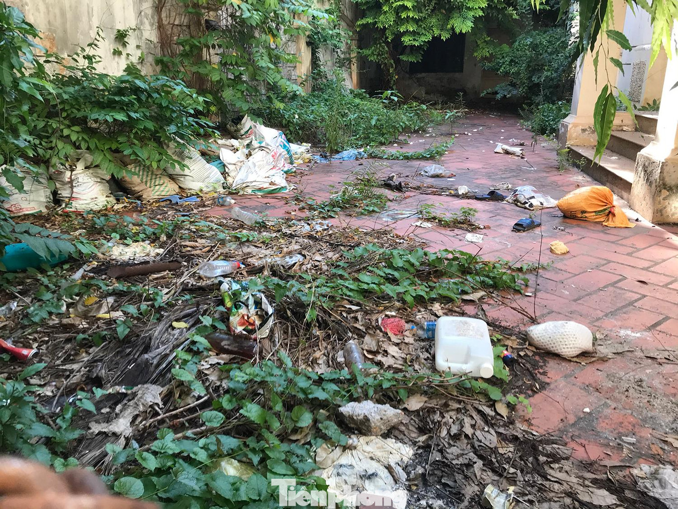 Trước đó, theo ghi nhận của phóng viên Tiền Phong, bên trong khuôn viên biệt thự 12 Nguyễn Chế Nghĩa có nhiều rác thải, cây dại mọc. Ảnh: Trường Phong