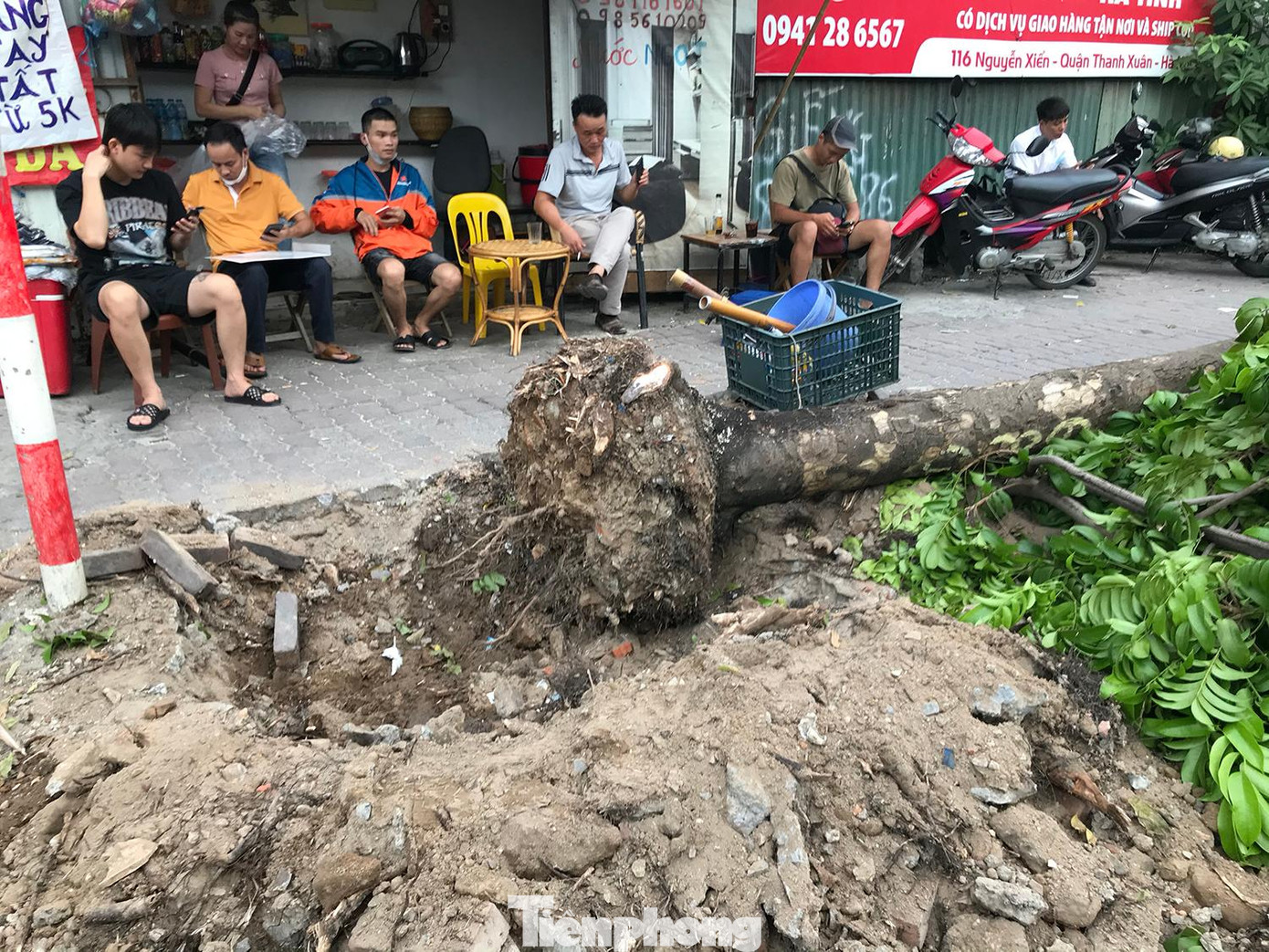 Theo ghi nhận của phóng viên Tiền Phong, cả chục cây sấu, đường kính thân khá lớn trên vỉa hè đường Nguyễn Xiển (quận Thanh Xuân, Hà Nội) bị đào gốc, chặt cành nằm la liệt trên vỉa hè. Ảnh: Trường Phong