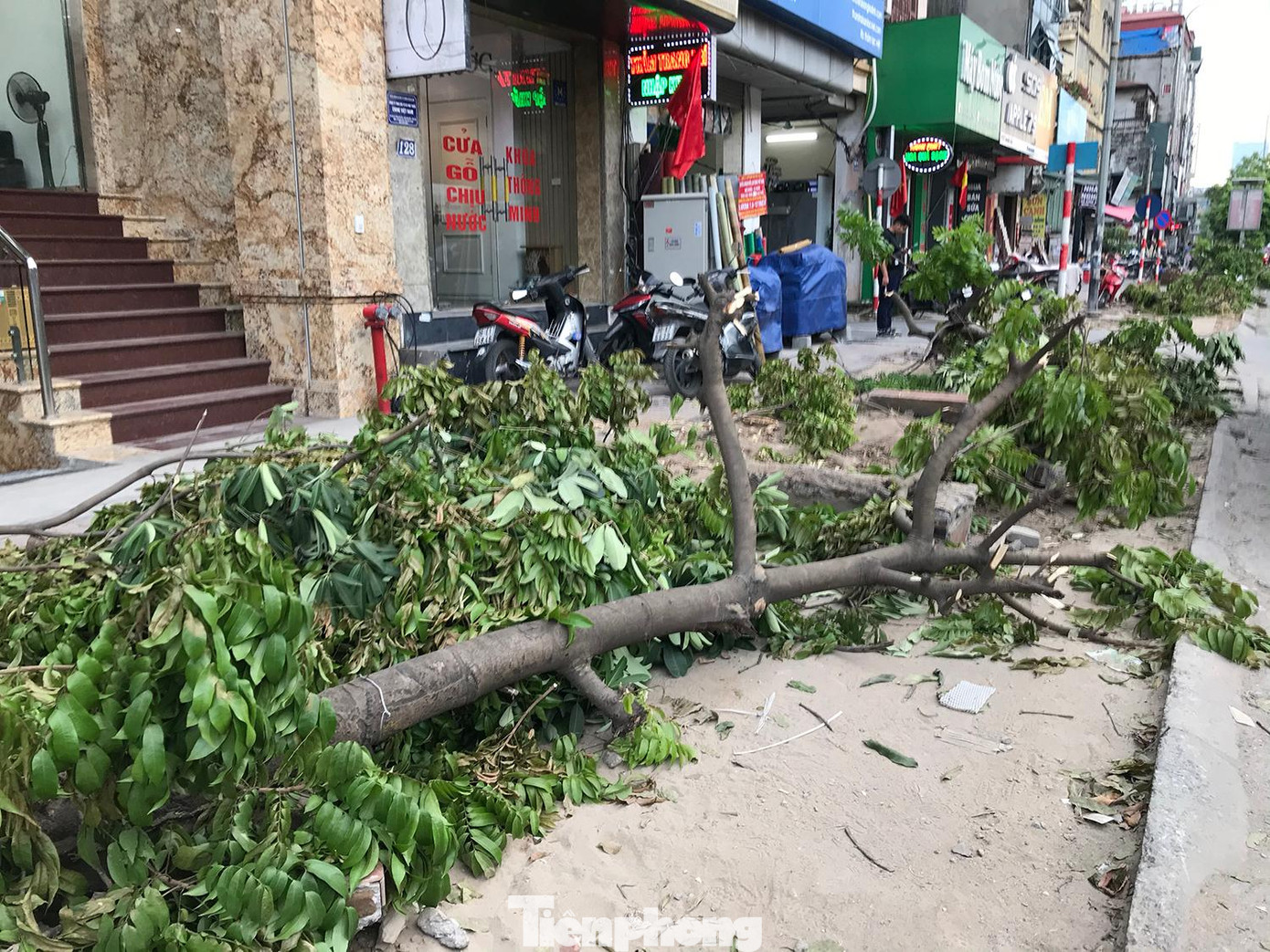 Theo quan sát, nhiều cây xanh bị đào gốc, chặt cành một cách cẩu thả, dường như không phải là đơn vị chuyên nghiệp. Ảnh: Trường Phong