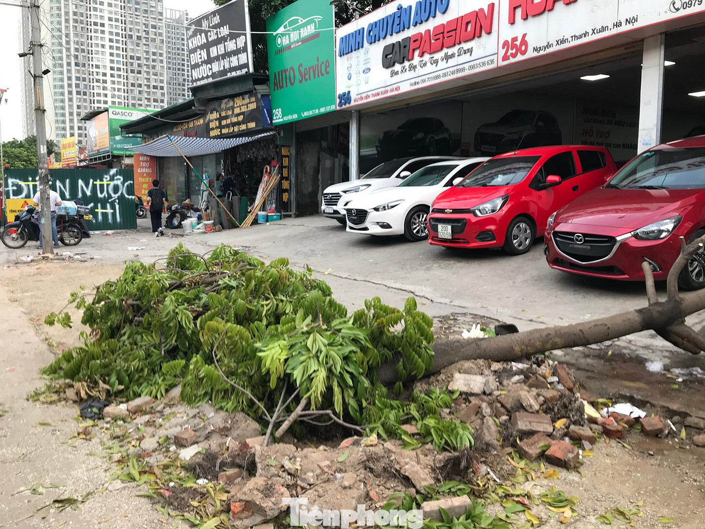 Nhiều người dân ở quanh khu vực cho biết, họ không rõ nguyên nhân tại sao lại có chuyện đào gốc, chặt cành cây đang trồng trên vỉa hè đoạn đường này. Ảnh: Trường Phong