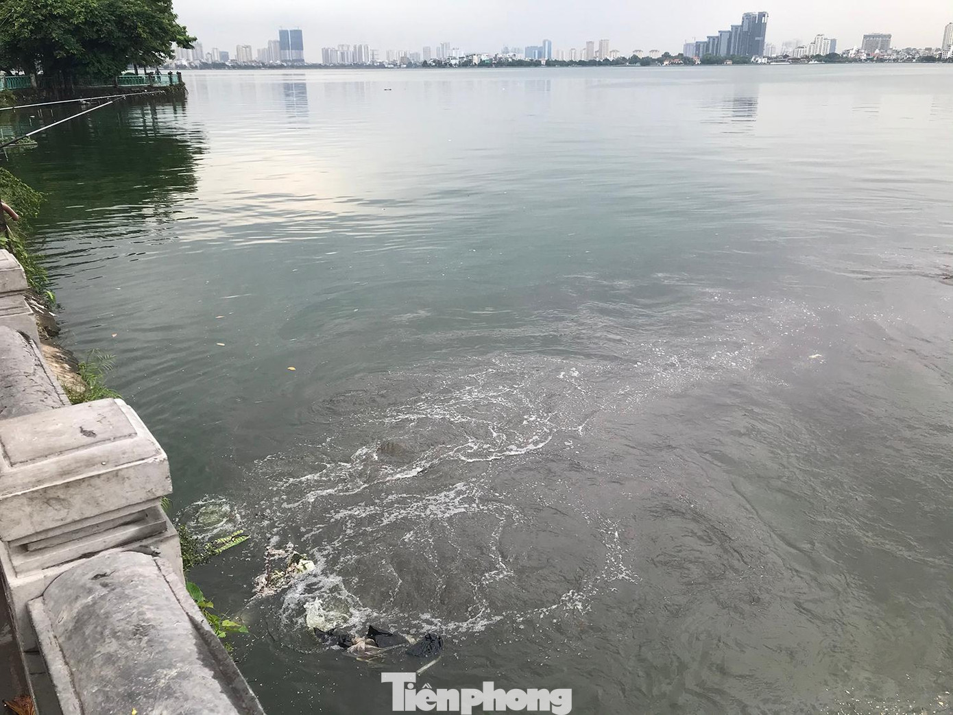 Nước cống đục ngàu, cuồn cuộn chảy vào hồ Tây kèm theo nhiều rác thải. Ảnh chụp ngày 6/10. Ảnh: Trường Phong