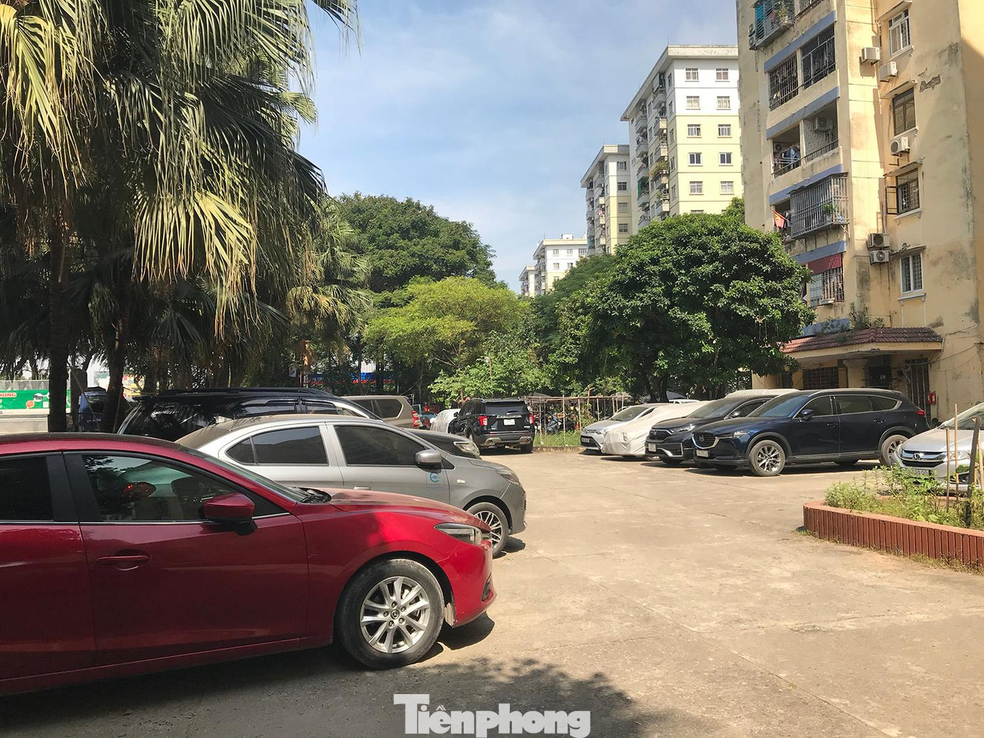 Ảnh: Trường Phong