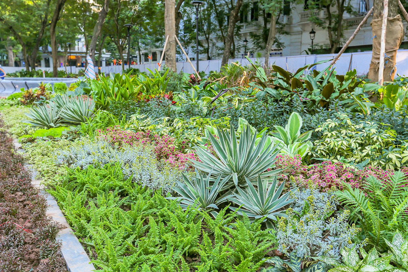 Dự án cải tạo Vườn hoa đang trong giai đoạn hoàn thiện. Trong ảnh là một tiểu cảnh với nhiều cây xanh trang trí trong Vườn hoa. Ảnh: Duy Phạm