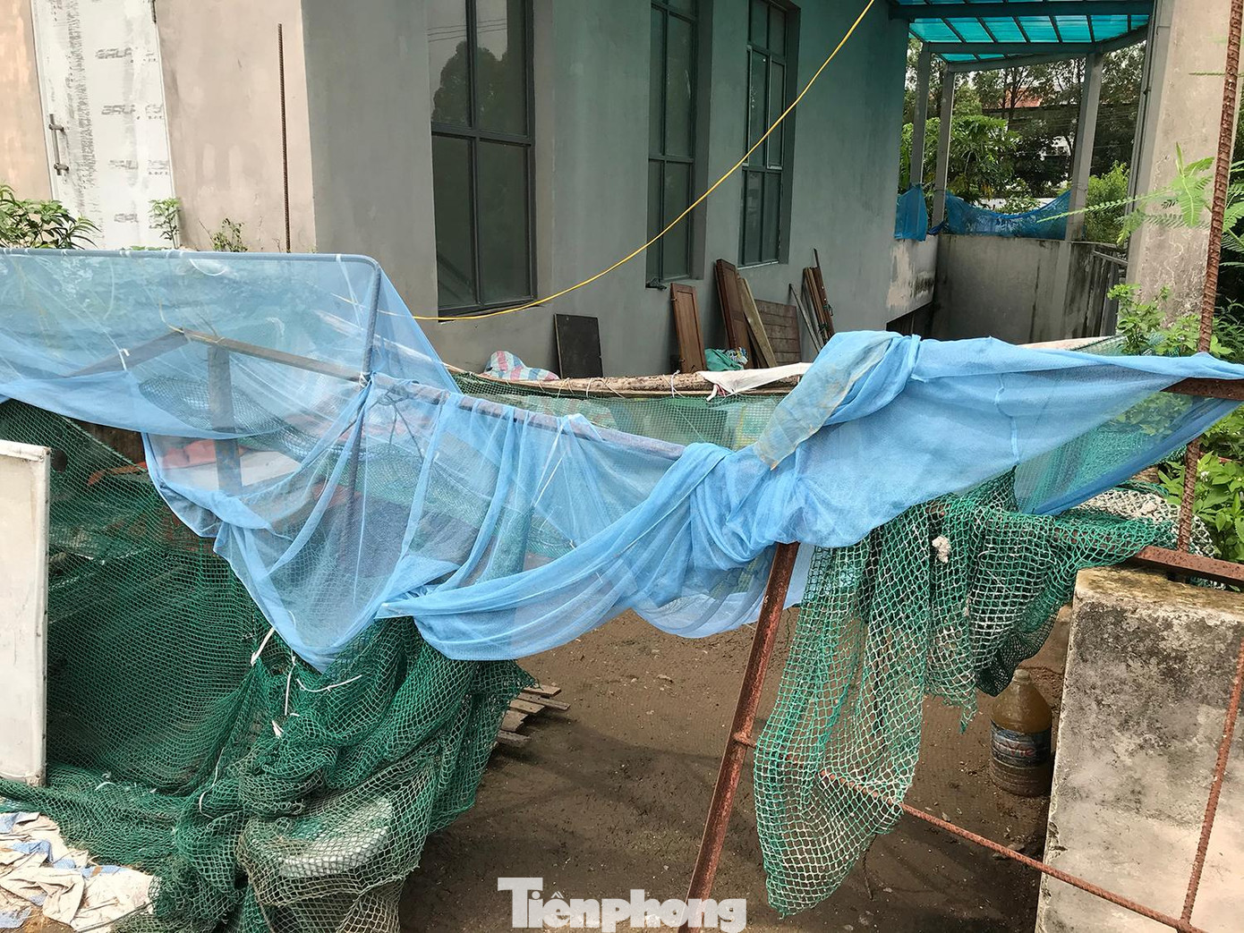 Một lối lên xuống hầm chung cư cũng được trưng dụng làm nơi chăn nuôi gia cầm. Ảnh: Trường Phong Một lối lên xuống hầm chung cư cũng được trưng dụng làm nơi chăn nuôi gia cầm. Ảnh: Trường Phong