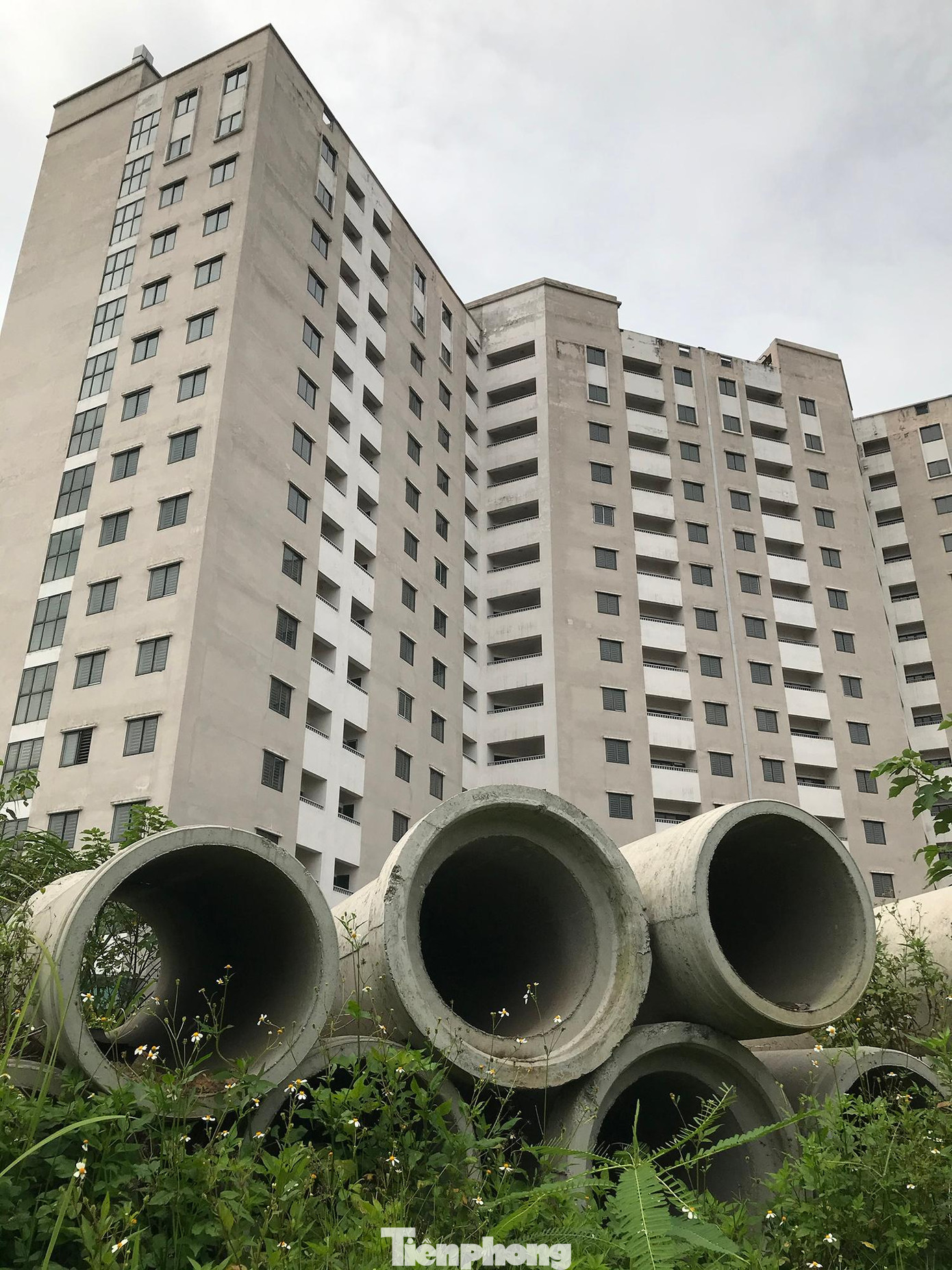 Một số nơi vẫn còn các vật liệu xây dựng, ống cống, xen lẫn là cỏ dại mọc um tùm. Ảnh: Trường Phong Một số nơi vẫn còn các vật liệu xây dựng, ống cống, xen lẫn là cỏ dại mọc um tùm. Ảnh: Trường Phong