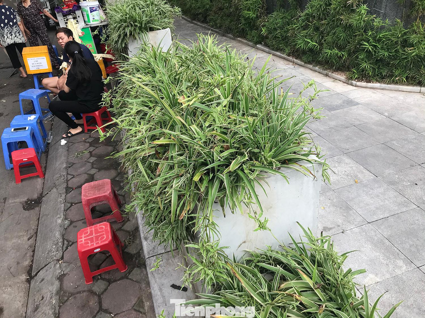Theo đại diện chính quyền một số phường ở Hà Nội, hiện cũng xuất hiện tình trạng đặt bục, bệ, cây xanh lấn chiếm vỉa hè, lòng đường. Việc đặt các bục, bệ, cây xanh này phải tuân thủ nhiều quy định của pháp luật, không làm ảnh hưởng đến vỉa hè dành cho người đi bộ. Ảnh: Trường Phong