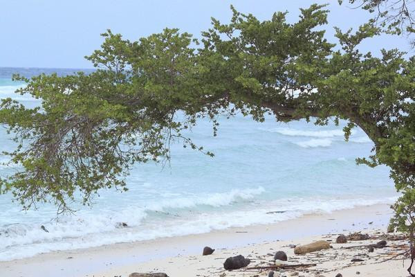 Phú Quốc có tên trong những đảo du lịch rẻ nhất Đông Nam Á ảnh 1