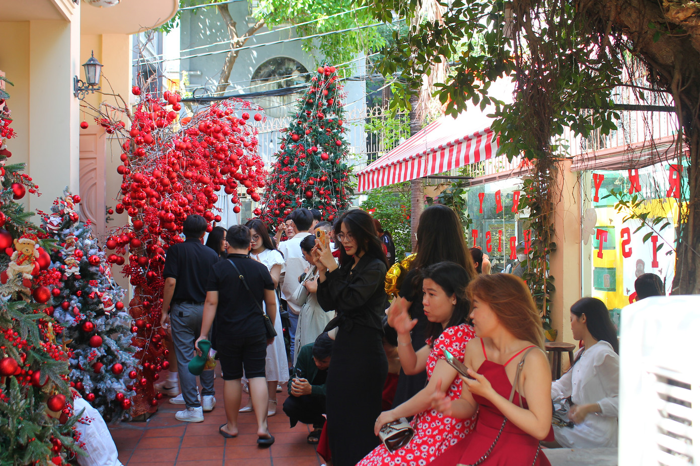 Nhiều người xếp hàng đợi đến lượt mình check-in với cây thông. (Ảnh: Kim Hoàng).