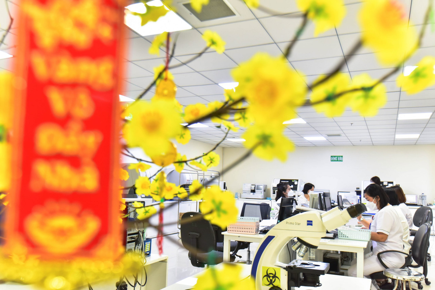 Những ngày giáp Tết nhưng các bác sĩ vẫn miệt mài làm việc.