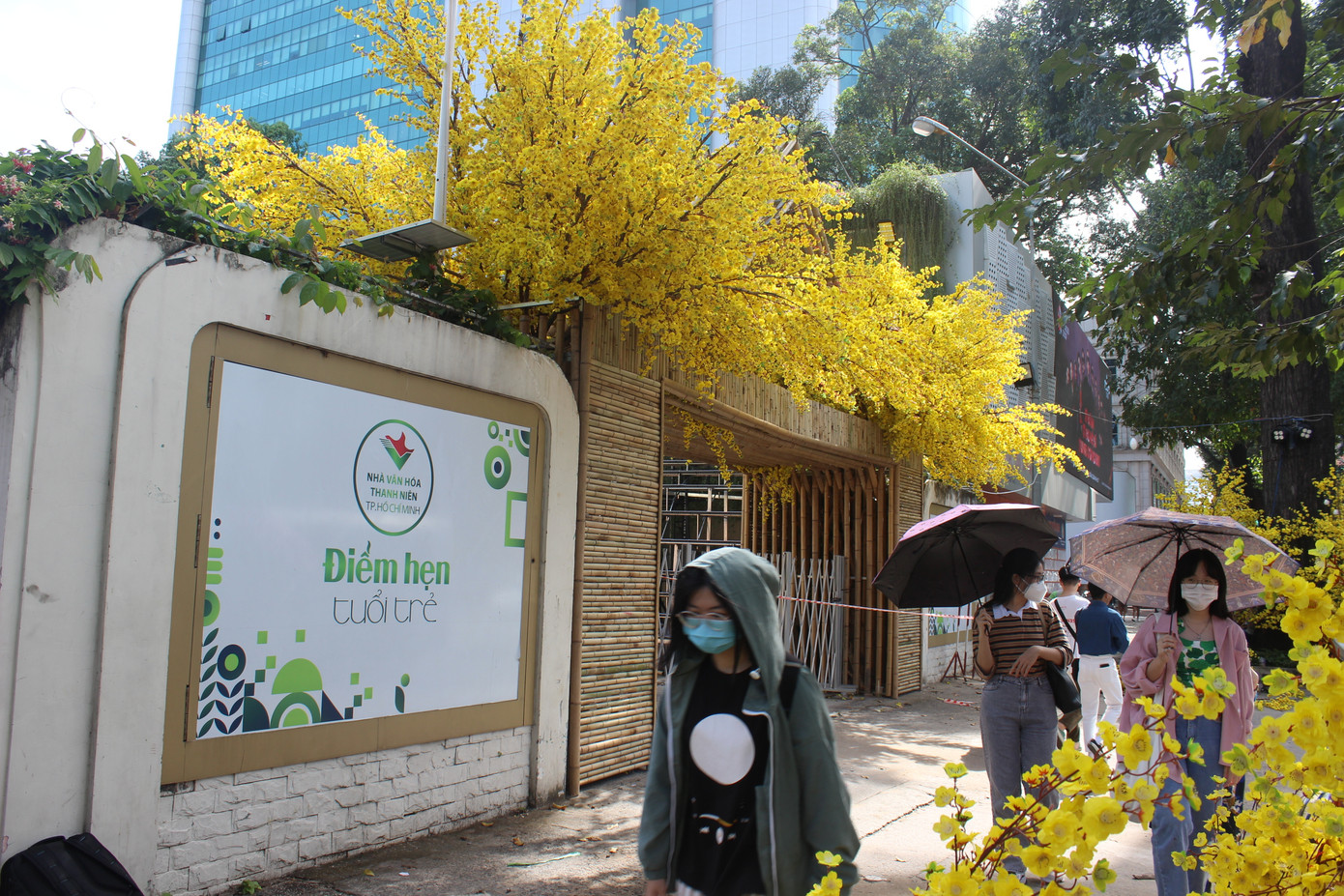 Nhiều bạn trẻ đã tranh thủ đi dạo phố tìm những góc check-in tại đường mai vàng Phạm Ngọc Thạch, Q.1. Nhiều bạn trẻ đã tranh thủ đi dạo phố tìm những góc check-in tại đường mai vàng Phạm Ngọc Thạch, Q.1.