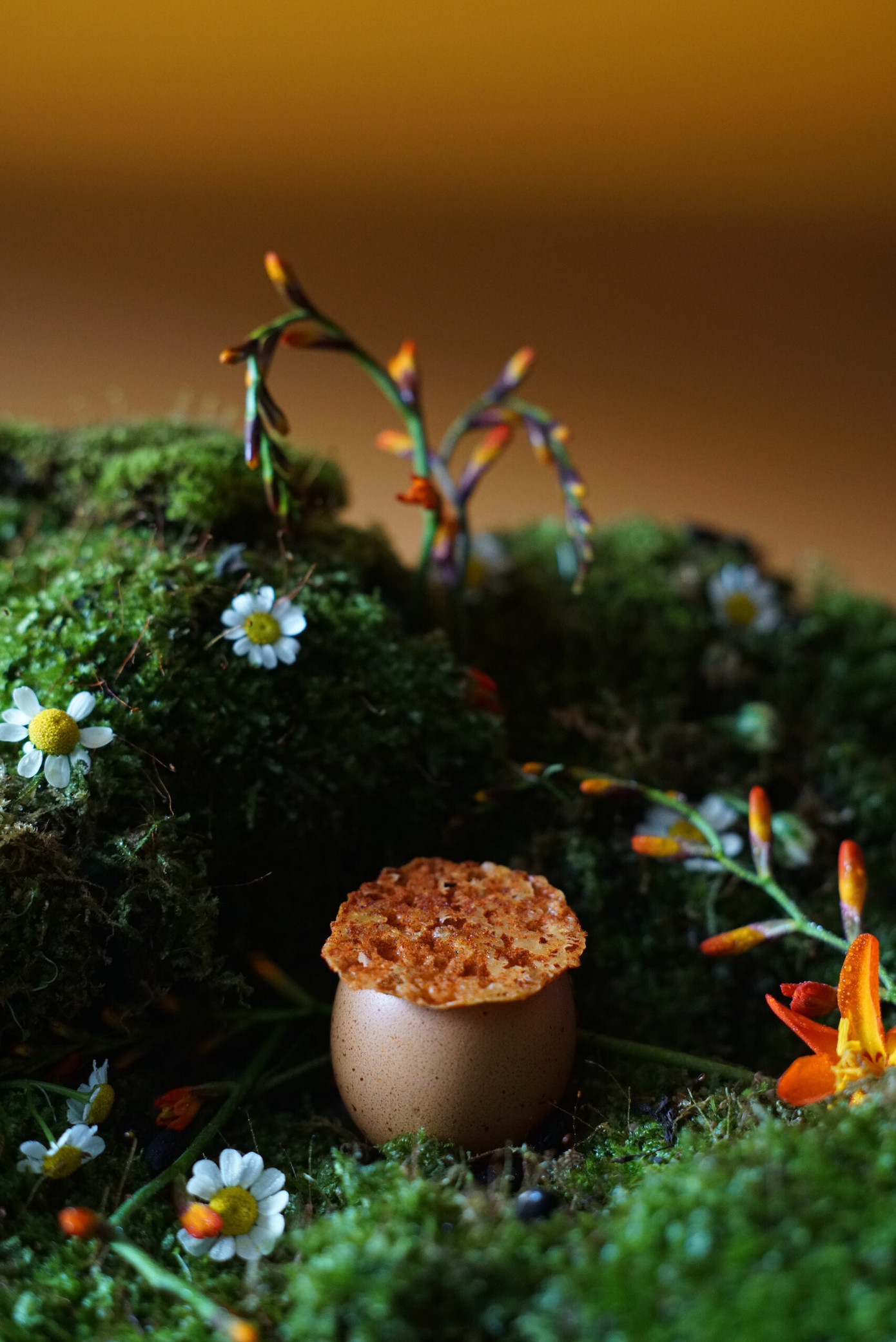 Một số món ăn do Sơn thực hiện.