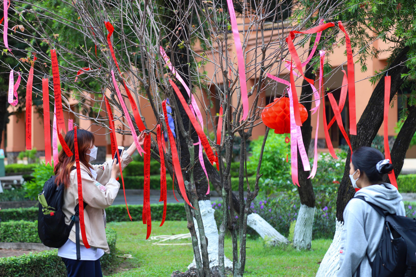 Những dải lụa hồng, đỏ với vô vàn lời ước nguyện được sinh viên viết và treo lên cây làm đỏ rực cả một góc trường.