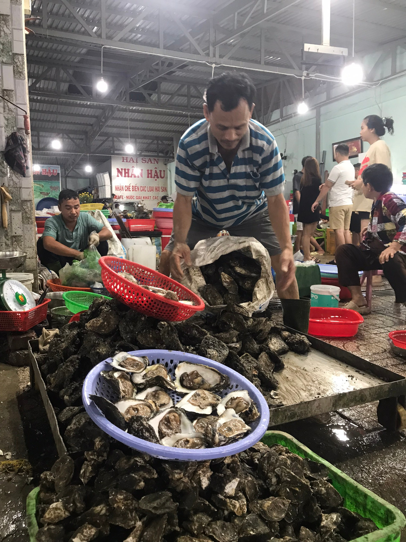 Hải sản tươi sống vừa đánh bắt trong ngày được các chủ ghe mang đến đổ cho các cửa hàng hải sản bày bán. Hải sản tươi sống vừa đánh bắt trong ngày được các chủ ghe mang đến đổ cho các cửa hàng hải sản bày bán.