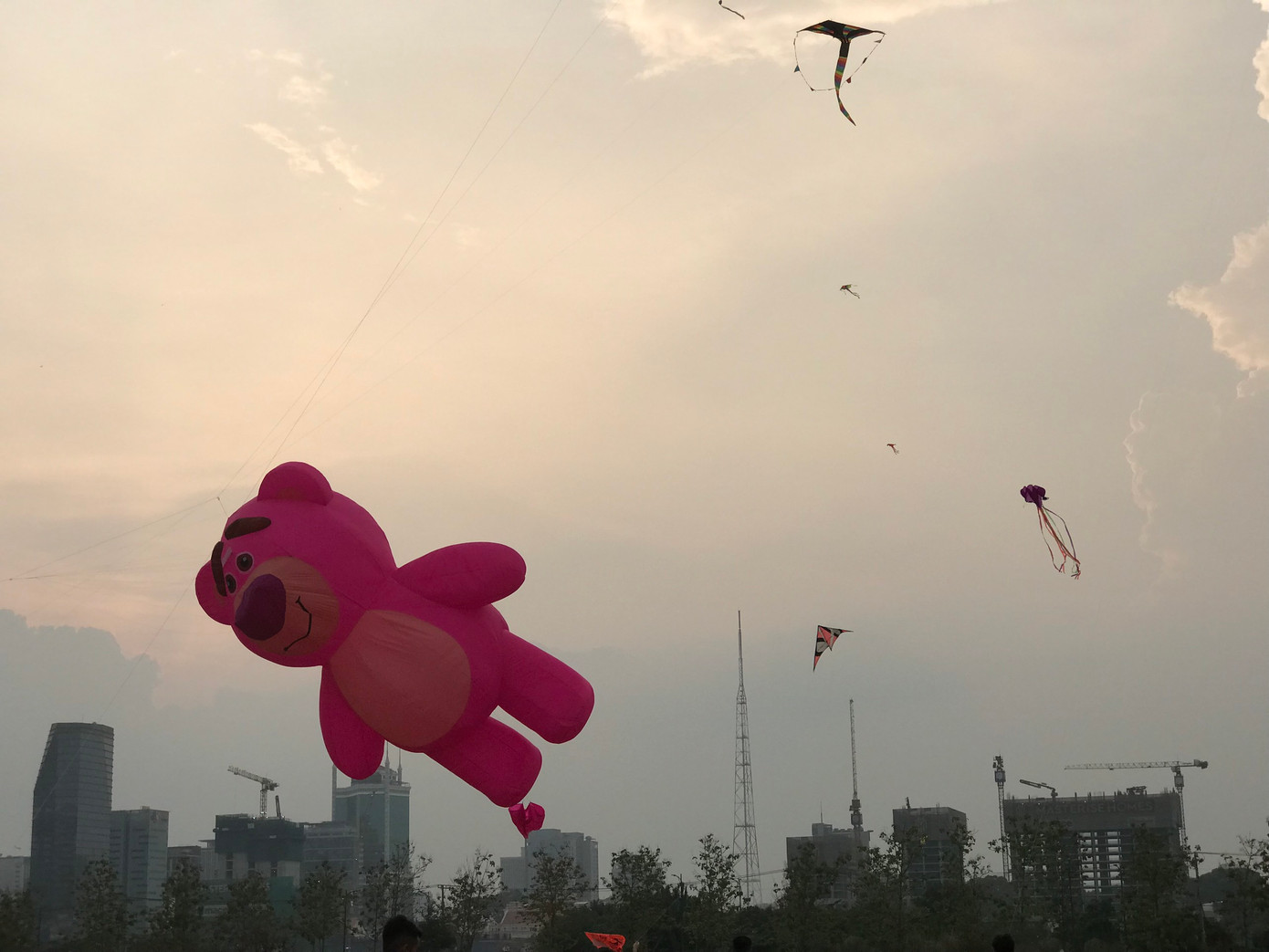 Nhiều bạn trẻ thử thách với diều cỡ lớn, cần 2 - 3 người mới kéo bay lên được. (Ảnh: Thủy Tiên)