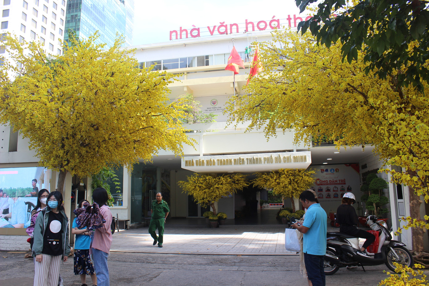 Chính đường mai vàng đã tạo điểm nhấn cho Nhà văn hóa Thanh niên. Khiến nơi đây trở thành tâm điểm để các bạn trẻ tìm về mỗi dịp Tết đến, Xuân về. Chính đường mai vàng đã tạo điểm nhấn cho Nhà văn hóa Thanh niên. Khiến nơi đây trở thành tâm điểm để các bạn trẻ tìm về mỗi dịp Tết đến, Xuân về.