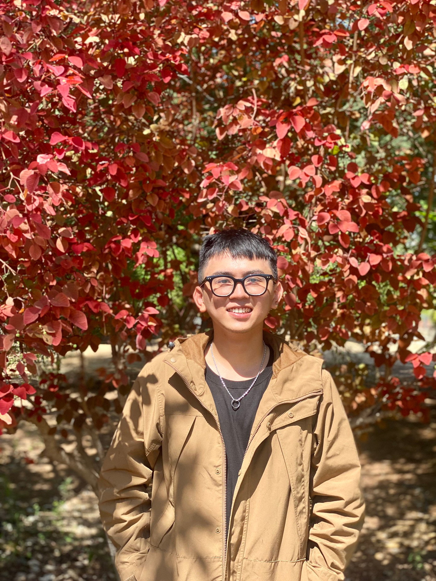 Lương Trúc Bình có 11 tháng thực tập tại nông trại Ziman, vùng Kadesh Barnea (biên giới phía Nam Israel). (Ảnh: NVCC)