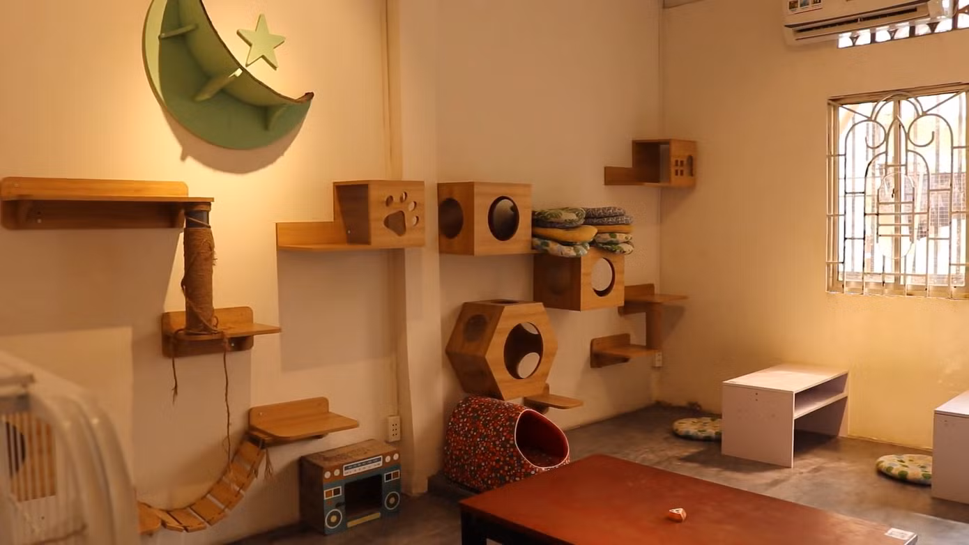 Không gian tại Meow House có thể nuôi dưỡng tối đa 35 bé mèo, không phân biệt chủng loại. Không gian tại Meow House có thể nuôi dưỡng tối đa 35 bé mèo, không phân biệt chủng loại.