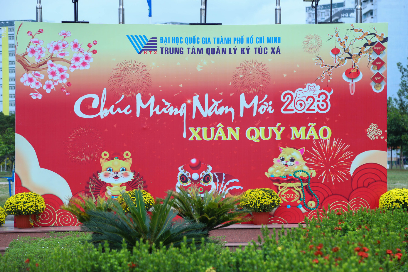 Tại KTX khu B (ĐHQG TP. HCM) công tác chuẩn bị trang trí Tết đã hoàn thành từ hơn một tuần trước.