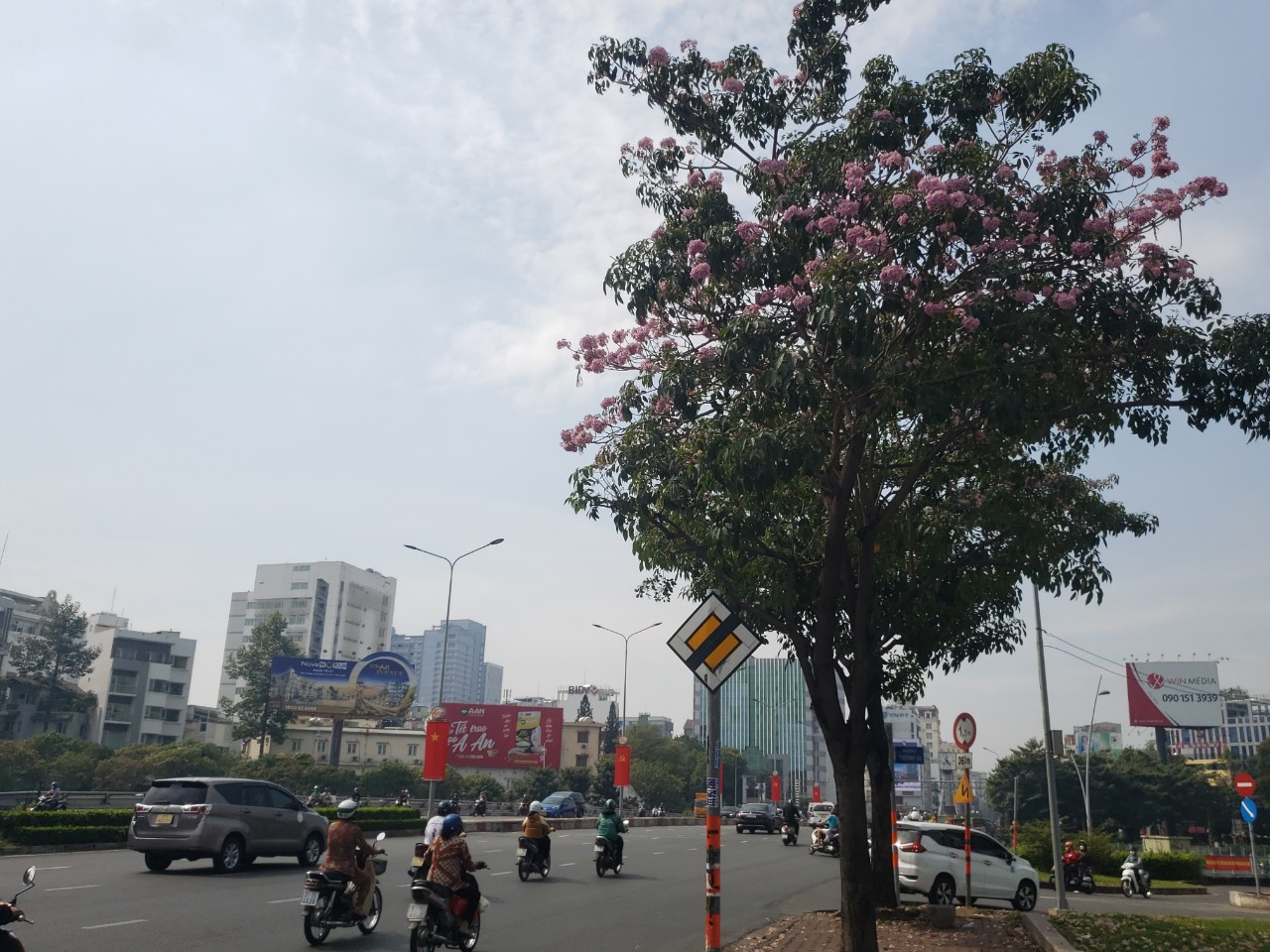 Những cây kèn hồng với hoa nở sặc sỡ làm con đường Sài Gòn mùa Tết trở càng thêm thơ mộng hơn.