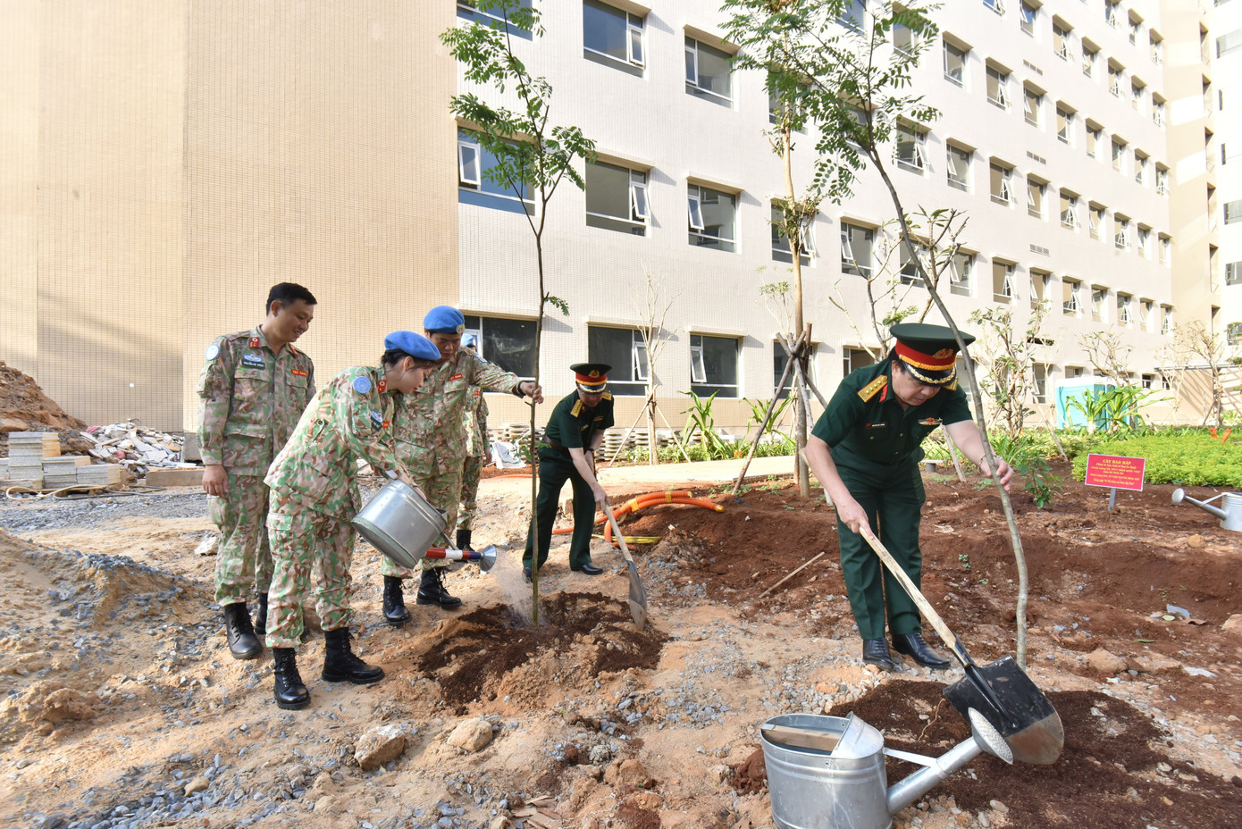 Lãnh đạo bệnh viện cùng trồng cây trong chương trình.