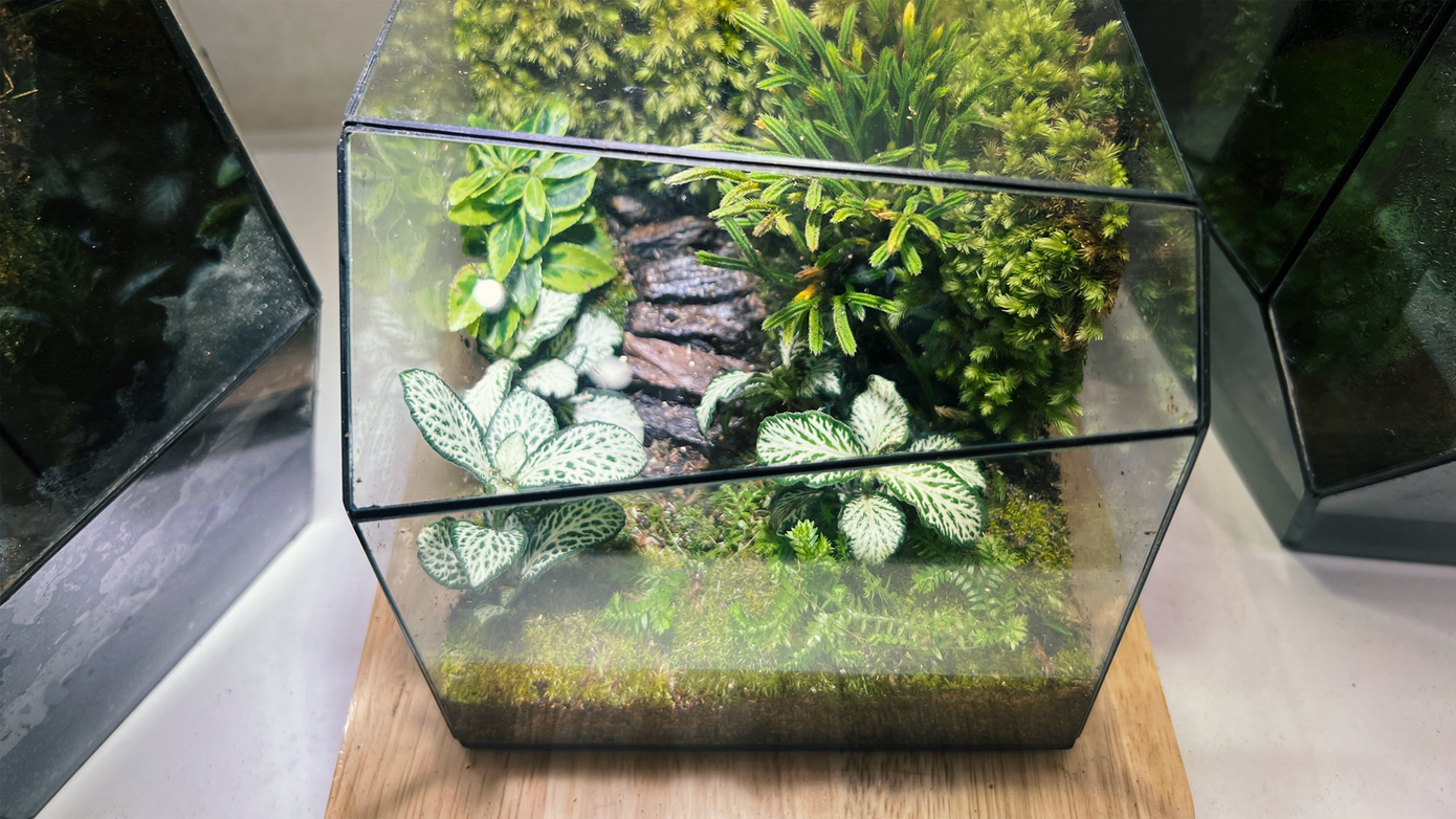 Một sản phẩm của Nghĩa.