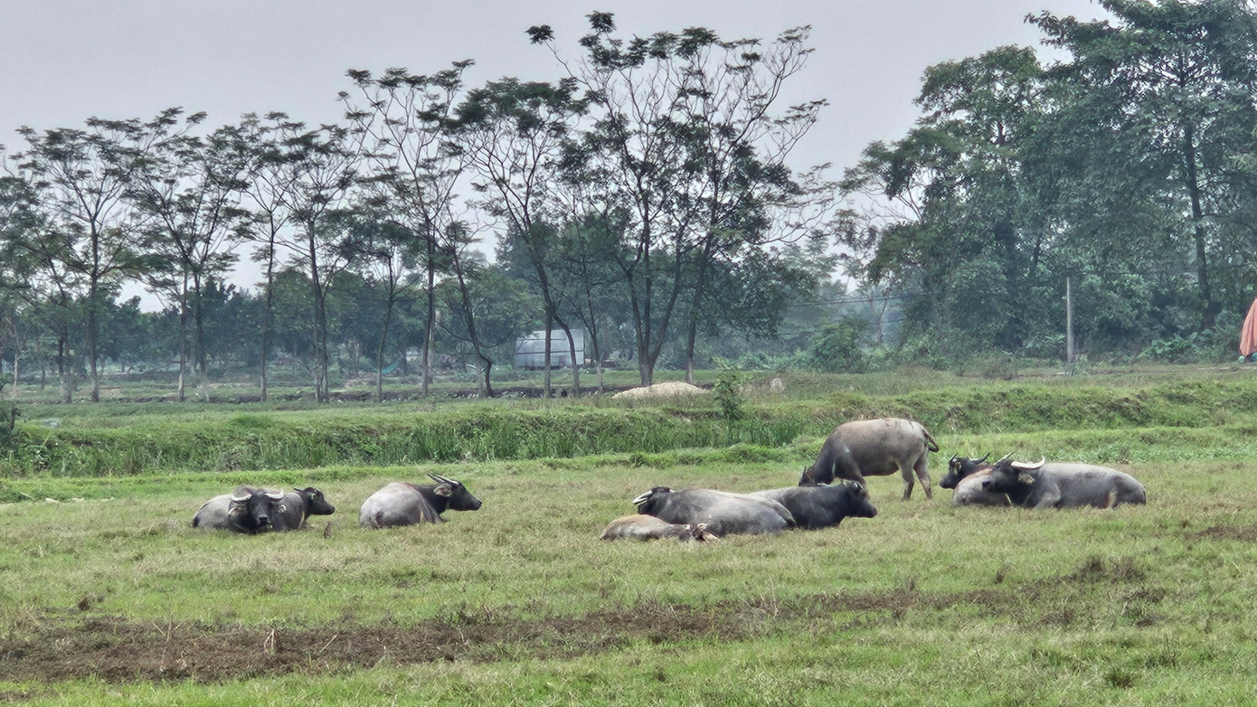 Theo Luật Đất đai sửa đổi, người dân có đất nông nghiệp bị Nhà nước thu hồi có thể sẽ được bồi thường bằng nhà ở. Theo Luật Đất đai sửa đổi, người dân có đất nông nghiệp bị Nhà nước thu hồi có thể sẽ được bồi thường bằng nhà ở.