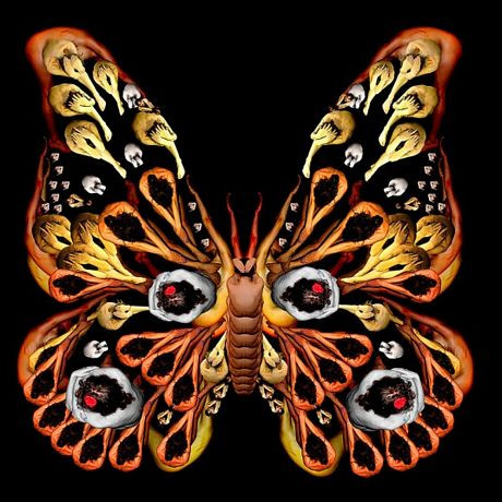 Webber chụp ảnh các người mẫu khỏa thân và dành nhiều người gian ghép chúng trên máy tính để tạo ra các bức ảnh nghệ thuật theo từng chủ đề. Webber chụp ảnh các người mẫu khỏa thân và dành nhiều người gian ghép chúng trên máy tính để tạo ra các bức ảnh nghệ thuật theo từng chủ đề