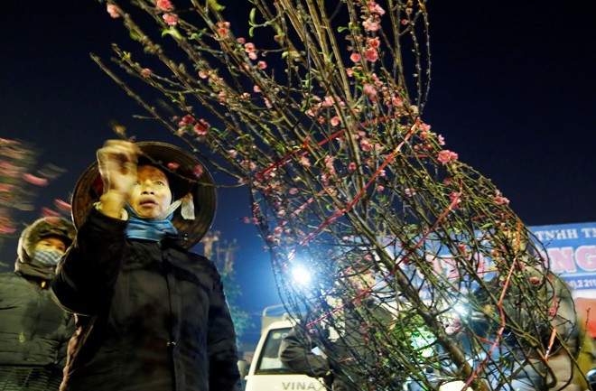 Đào năm nay nở khá sớm, những người trồng đào phải mang ra chợ Quảng An để bán. 