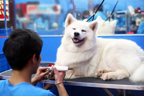 Những dịch vụ dễ kiếm tiền triệu trong dịp nghỉ lễ ảnh 5