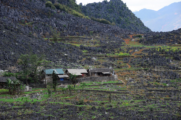 Người dân vùng cao sống quyện cùng với đá, những ngôi nhà được dựng lên với bốn bề là đá. Tất cả cuộc sống của con người vùng cao đều gắn liền với đá. Đá dùng để làm nhà Làm hàng rào Hay đá đan xen với những luống hoa cải vàng tạo nên một bức tranh thật ấn tượng Người dân vùng cao trồng trọt trên những khe đá, trong những hốc đất nhỏ. Và thu hoạch cũng ngay tại vườn nhà Những ngọn núi đá trùng trùng điệp điệp, những cánh đồng đá trải dài bất tận, tất cả cứ tràn vào nhau, hoà quyện vào nhau thành một bức tranh tuyệt đẹp nơi cực bắc Tổ quốc. Cao nguyên đá Đồng Văn dù có tới và trở lại vẫn thấy là lạ, vì nó đẹp, cái đẹp hoang dại, từ con người đến cảnh vật. Cái đẹp mà khi trải nghiệm rồi, vẫn có chút gì đó rất thú vị.