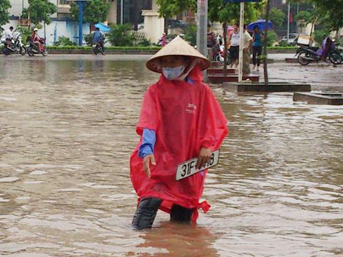 Nhiều chủ xe do vội đi nên không biết biển số xe mình bị rơi