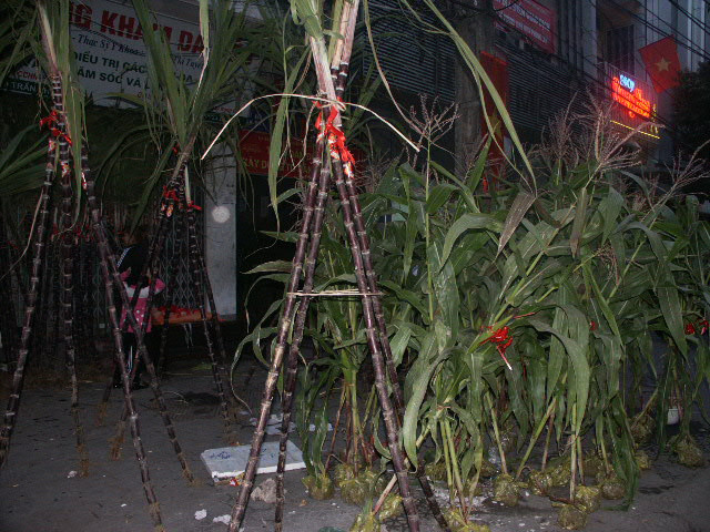 Mua lộc. Ảnh: Lam Khê 