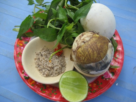  Trứng vịt lộn thường ăn kèm rau răm nên quý ông dễ bị giảm sinh lý. Ảnh minh họa. 