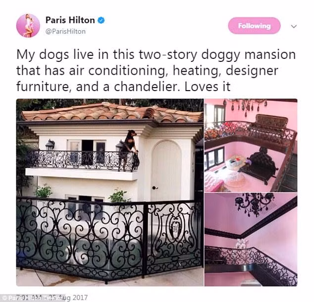 Kiều nữ Hollywwood hào hứng đăng tải những hình ảnh của căn biệt thự mini ngay trong sân vườn Kiều nữ Hollywwood hào hứng đăng tải những hình ảnh của căn biệt thự mini ngay trong sân vườn