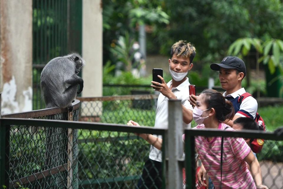 Giám đốc Thảo Cầm Viên Sài Gòn khẳng định chức năng chính của đơn vị này là quản lý vườn thú cổ 160 năm tuổi, chăm sóc gần 2.000 cá thể động vật và hơn 2.000 cá thể thực vật, trong đó có nhiều loại quý hiếm, đang có nguy cơ tuyệt chủng. Doanh nghiệp cũng không hoạt động vì lợi nhuận vì giá vé vào cổng chỉ 60.000 đồng cho người lớn và 40.000 đồng cho trẻ em cao 1-1,3 m. Giám đốc Thảo Cầm Viên Sài Gòn khẳng định chức năng chính của đơn vị này là quản lý vườn thú cổ 160 năm tuổi, chăm sóc gần 2.000 cá thể động vật và hơn 2.000 cá thể thực vật, trong đó có nhiều loại quý hiếm, đang có nguy cơ tuyệt chủng. Doanh nghiệp cũng không hoạt động vì lợi nhuận vì giá vé vào cổng chỉ 60.000 đồng cho người lớn và 40.000 đồng cho trẻ em cao 1-1,3 m.