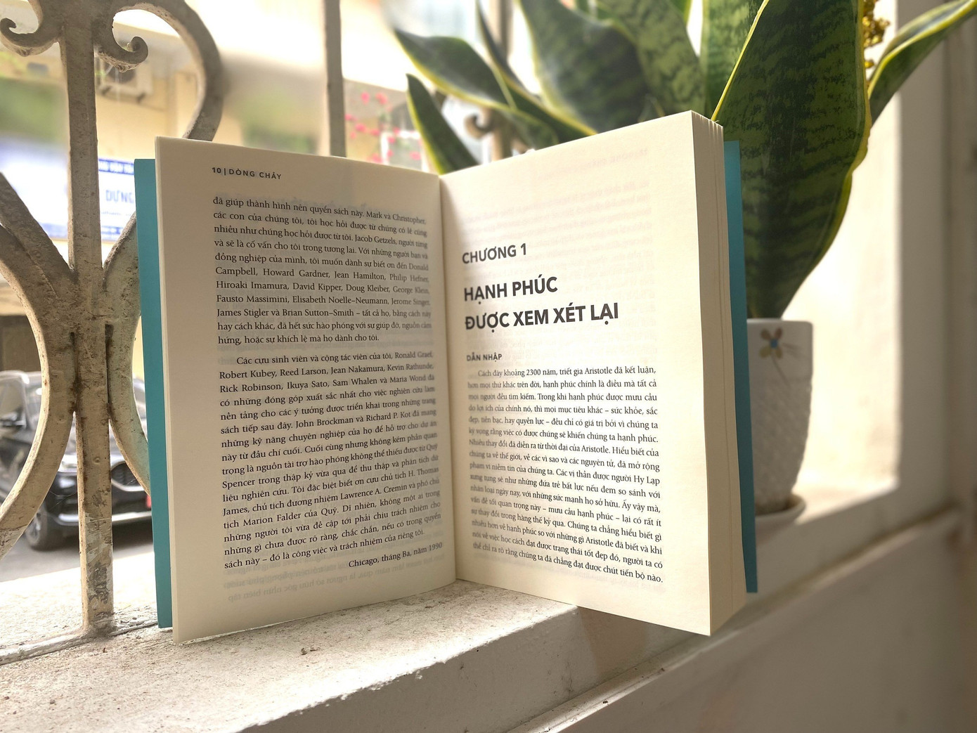 Flow - Dòng chảy là cuốn sách mà Mihaly Csikszentmihalyi lần đầu tiên phổ biến khái niệm này tới độc giả phổ thông.