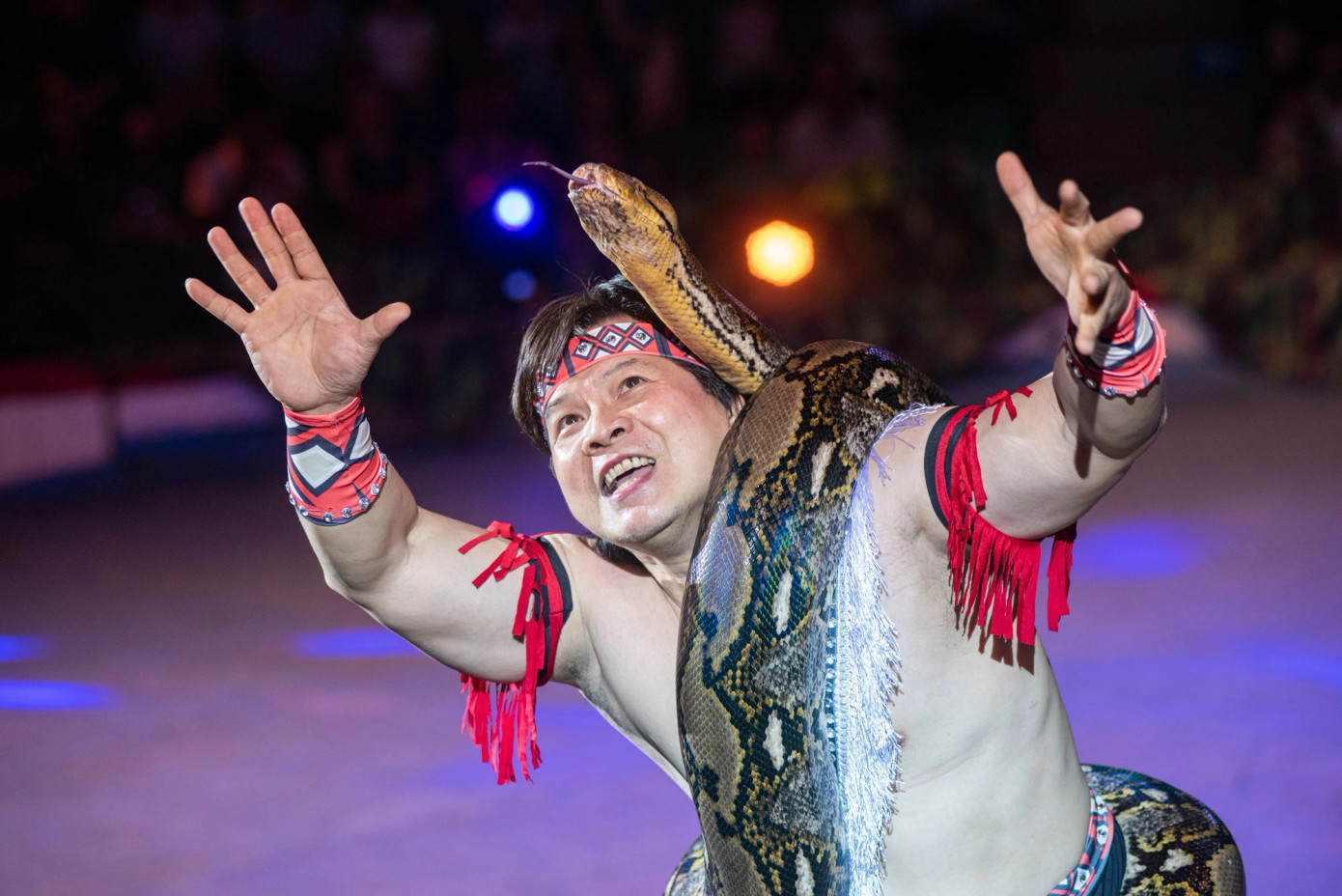 Thời gian hoạt động biểu diễn nghệ thuật của nghệ sĩ xiếc, múa ballet không dài. Thời gian hoạt động biểu diễn nghệ thuật của nghệ sĩ xiếc, múa ballet không dài.